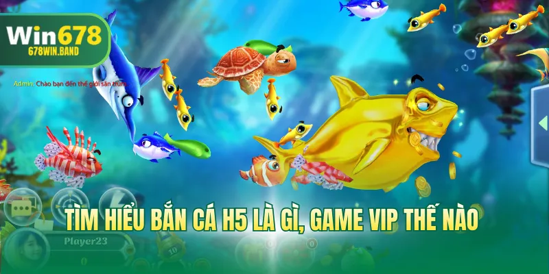 Tìm hiểu bắn cá H5 là gì, game VIP thế nào